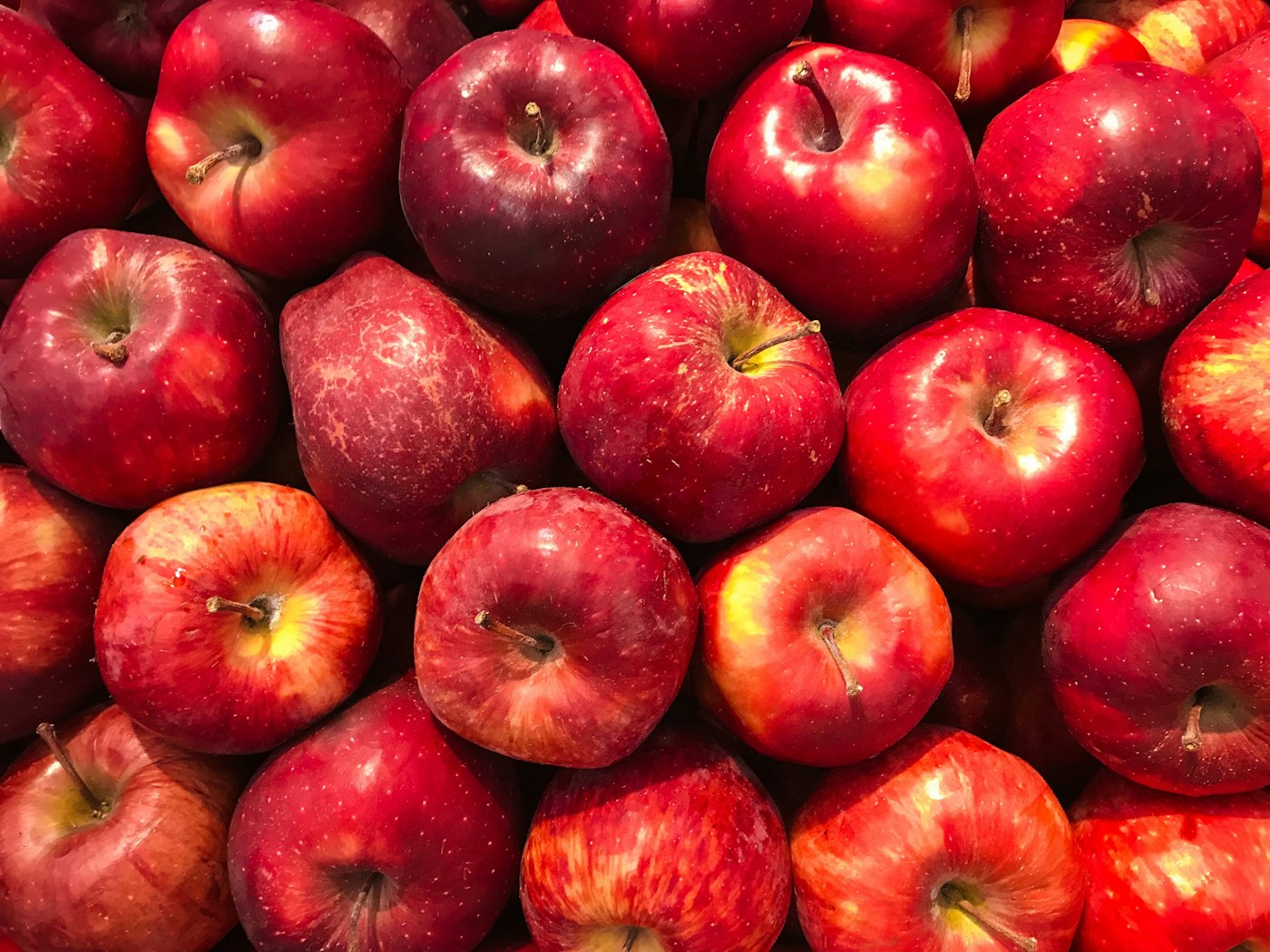 A crate of freshly picked red cider apples